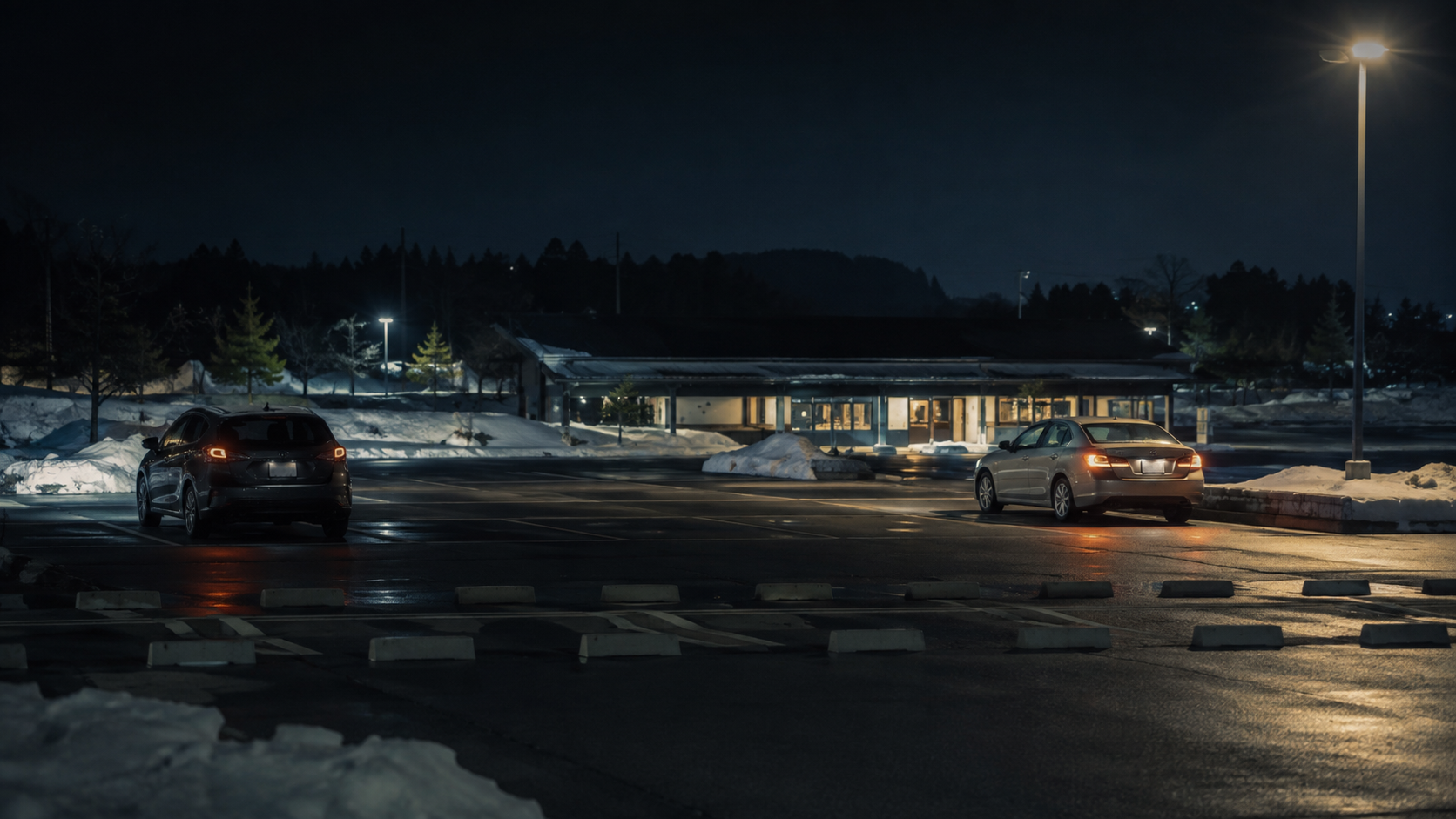 新潟県内で車を利用する恋人を探偵が浮気調査するイメージ